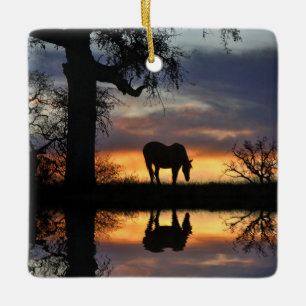 Mooi paard en water keramisch ornament