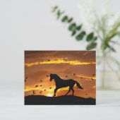 Mooi paard in de zon briefkaart (Staand voorkant)