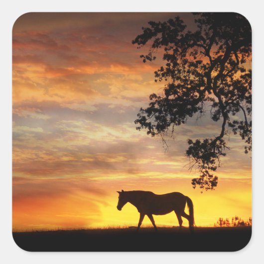 Mooi paard in een Fiery Sunset Sticker! Vierkante Sticker (Voorkant)