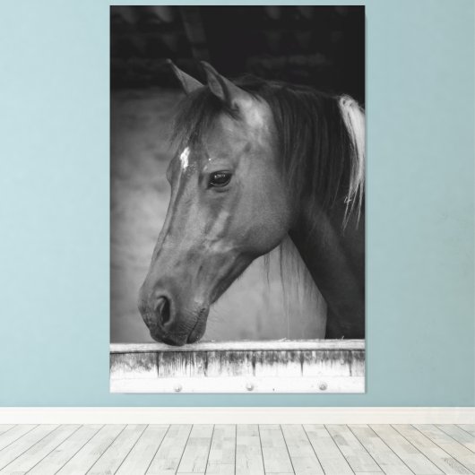 Mooi paard in schuur zwart en wit canvas afdruk (Insitu (Houten vloer))