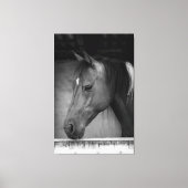 Mooi paard in schuur zwart en wit canvas afdruk (Voorkant)