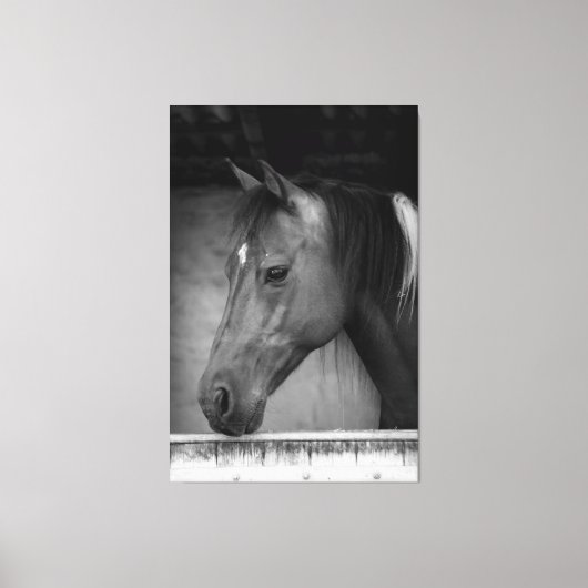 Mooi paard in schuur zwart en wit canvas afdruk (Voorkant)