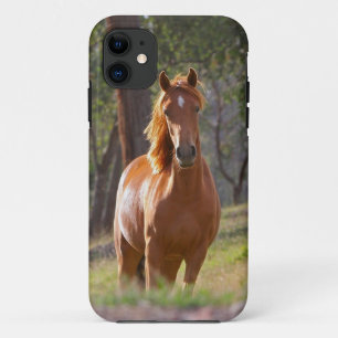 Mooi paard iPhone 5 Hoesje voor paardenovers