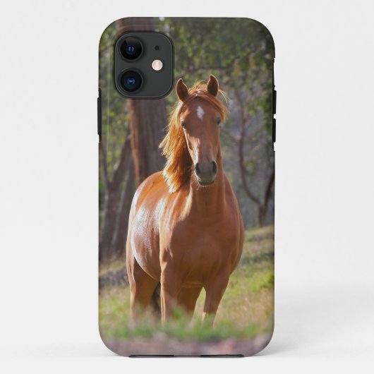 Mooi paard iPhone 5 Hoesje voor paardenovers (Achterkant)
