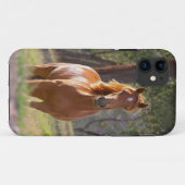 Mooi paard iPhone 5 Hoesje voor paardenovers (Achterkant (horizontaal))
