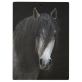 Mooi paard klembord (Achterkant)