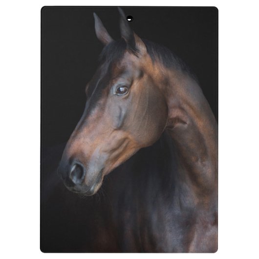 Mooi paard klembord (Achterkant)