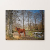 Mooi paard legpuzzel (Horizontaal)