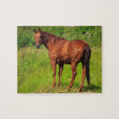 Mooi paard legpuzzel (Horizontaal)