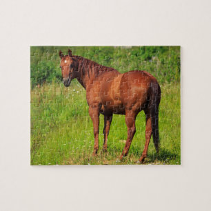 Mooi paard legpuzzel