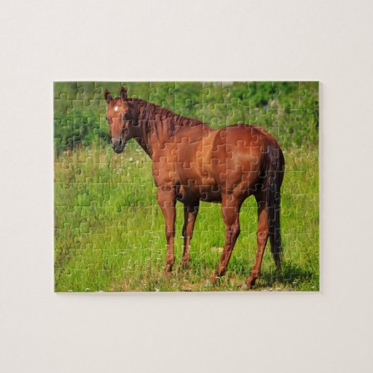 Mooi paard legpuzzel (Horizontaal)
