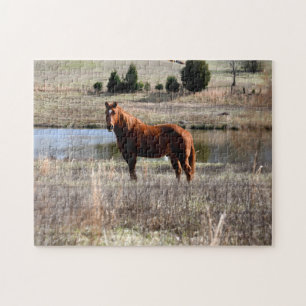 mooi paard  legpuzzel