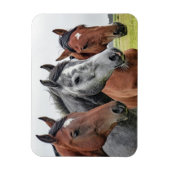 Mooi paard magneet (Verticaal)