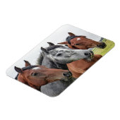 Mooi paard magneet (Linkerzijde)