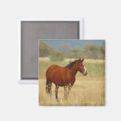 Mooi paard magneet (Voorkant / Achterkant)
