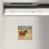 Mooi paard magneet (Insitu (Vaatwasser))