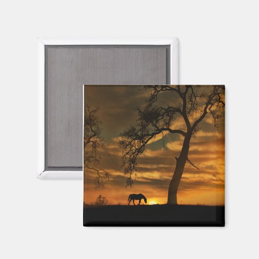 Mooi paard Magnet (Voorkant / Achterkant)