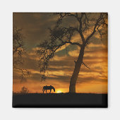 Mooi paard Magnet (Voorkant)