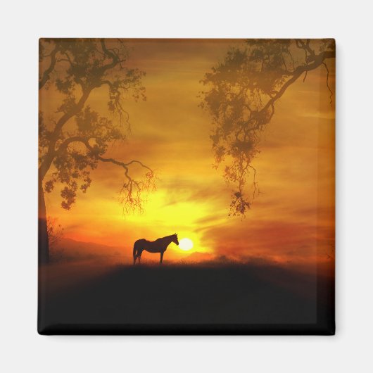 Mooi paard Magnet (Voorkant)