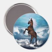 Mooi paard met magneet (Voorkant / Achterkant)