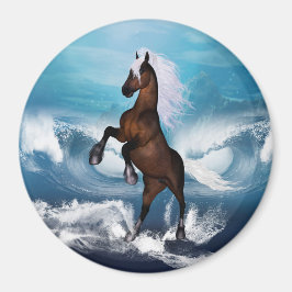 Mooi paard met magneet