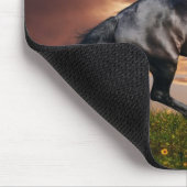 Mooi paard muismat (Hoek)