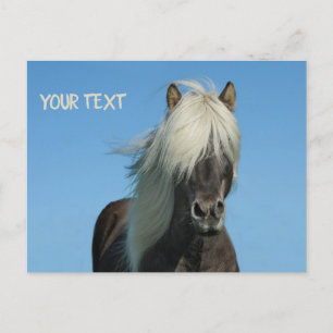 Mooi paard onder de blauwe hemel briefkaart