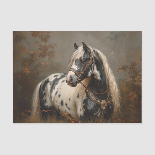 Mooi Paard Piebald Coat Schilderen Decoupage Tissuepapier (Voorkant)