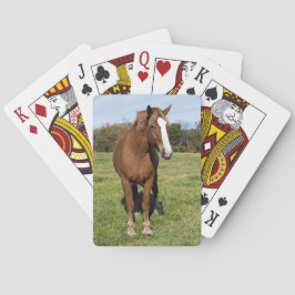 Mooi paard pokerkaarten