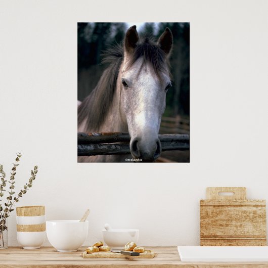 Mooi paard poster (Keuken)