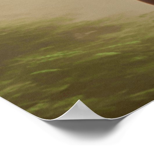 Mooi paard poster (Hoek)