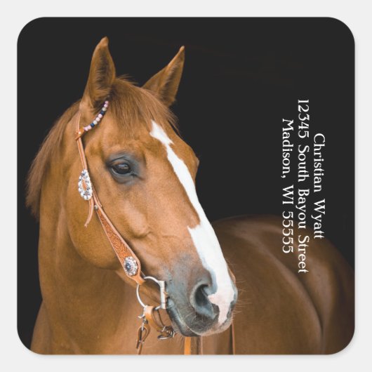 Mooi paard retour adres vierkante sticker (Voorkant)