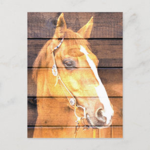 Mooi paard Rustic Barn Board Aankondigingskaart