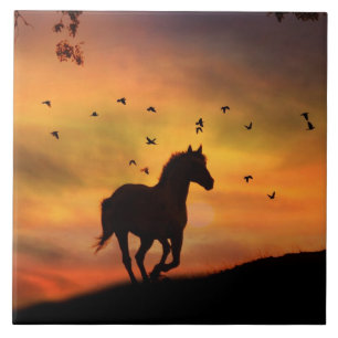 Mooi Paard Sihouetted in de Zonsopgang Tegeltje