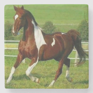 Mooi paard stenen onderzetter