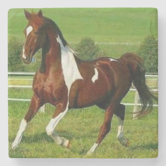 Mooi paard stenen onderzetter (Voorkant)