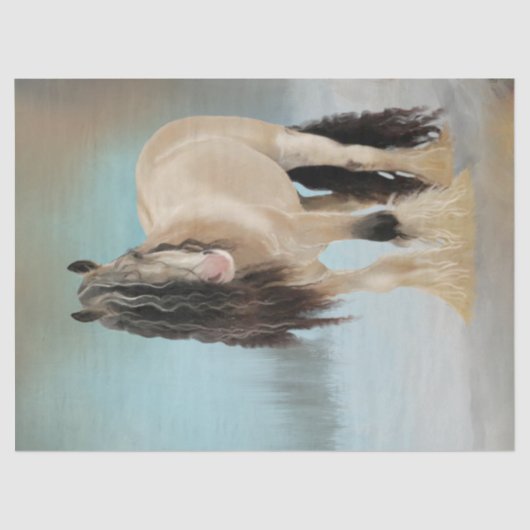 Mooi paard tissuepapier (Voorkant)