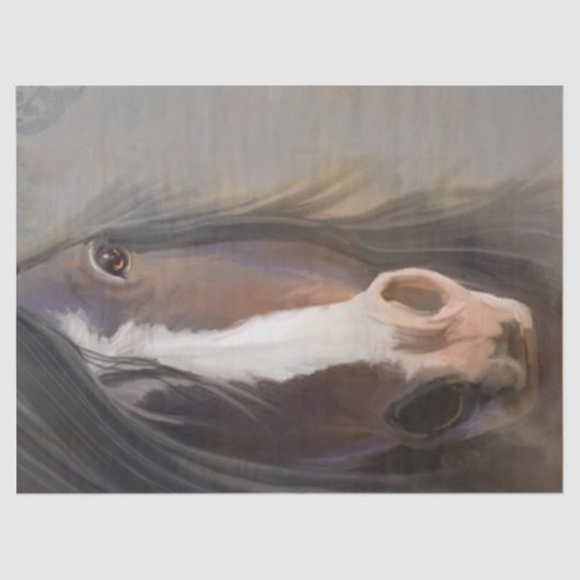 Mooi paard tissuepapier (Voorkant)