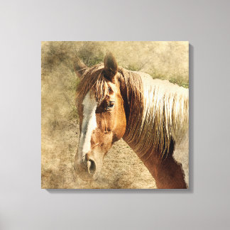 MOOI PAARDENPORTRET. BRUIN EN WIT PAARD CANVAS AFDRUK