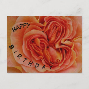 Mooi pasteel Roos Happy Birthday Briefkaart