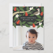 Mooi Patrijs in een Perenboom | Foto Kerstmis Feestdagenkaart (Voorkant)