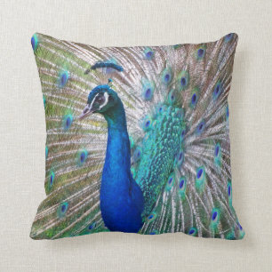 Mooi Peacock Decoratief Sierkussen