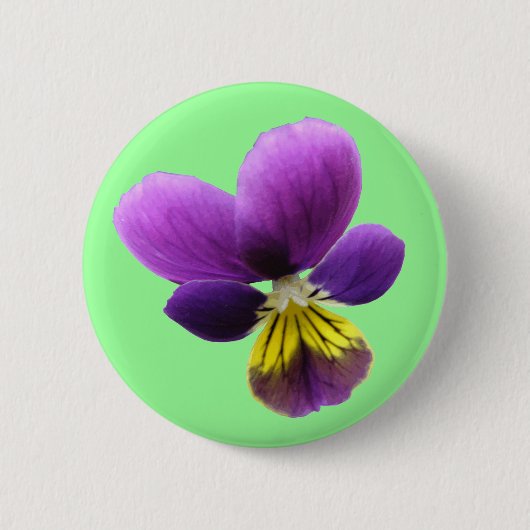 Mooi Penseelknopje Ronde Button 5,7 Cm (Voorkant)