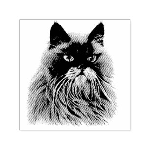 Mooi Perzisch kattenportret Zelfinktende Stempel