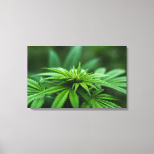 Mooi Plant Canvas Afdruk