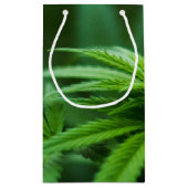 Mooi Plant Klein Cadeauzakje (Achterkant)