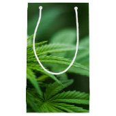 Mooi Plant Klein Cadeauzakje (Voorkant)