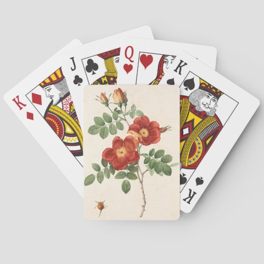 Mooi Plant Pokerkaarten (Achterkant)