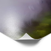 Mooi pluizig kattenschilderij foto afdruk (Hoek)