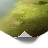 Mooi pluizig kattenschilderij poster (Hoek)